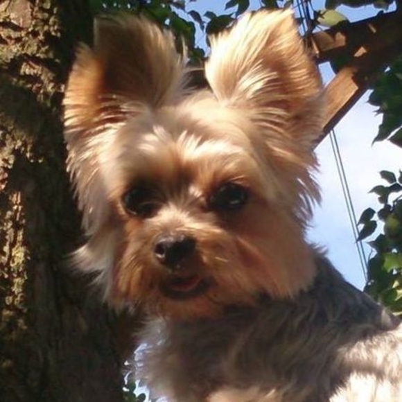 Meet your Posher, Joanna - Picture 1 of 1